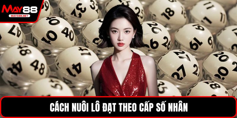 Cách nuôi lô đạt theo cấp số nhân